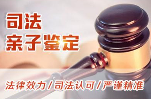 西双版纳专业司法DNA鉴定机构在哪,