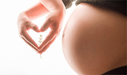 在西双版纳做孕期亲子鉴定去哪里做？西双版纳做孕期亲子鉴定准确吗？