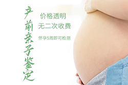 西双版纳怀孕6周怎么做亲子鉴定？西双版纳怀孕做亲子鉴定流程？