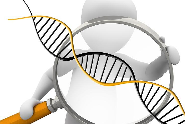 西双版纳DNA亲子鉴定机构,西双版纳亲子鉴定怎么做